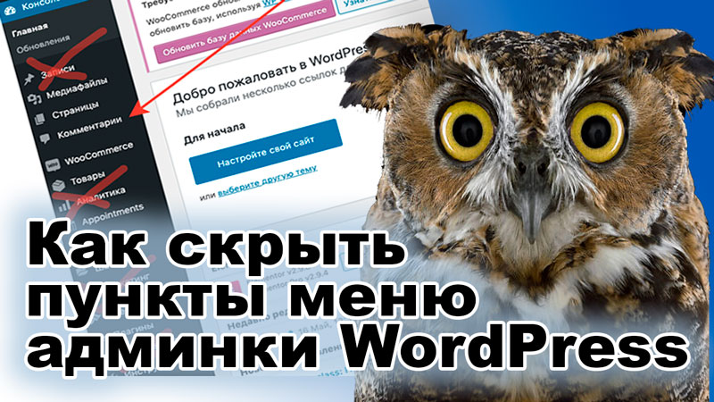 Скрываем пункты меню админки WordPress